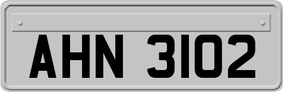 AHN3102