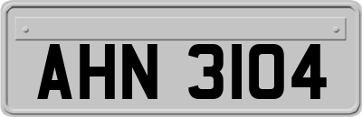 AHN3104