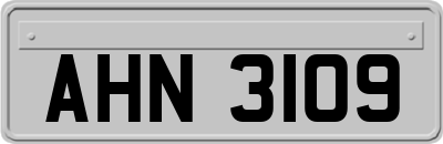 AHN3109