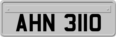 AHN3110