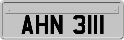 AHN3111