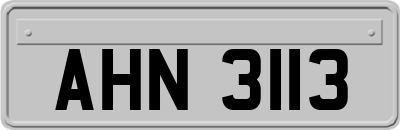 AHN3113