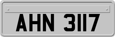AHN3117