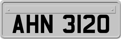 AHN3120