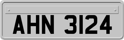 AHN3124