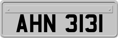 AHN3131