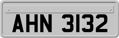 AHN3132