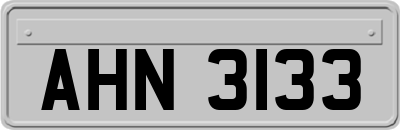 AHN3133