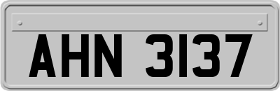 AHN3137