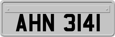 AHN3141