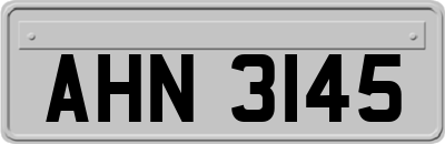 AHN3145