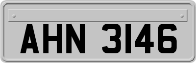 AHN3146