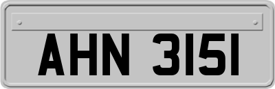 AHN3151