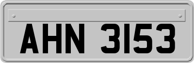 AHN3153