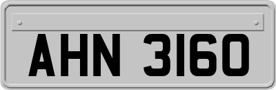 AHN3160