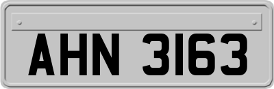 AHN3163