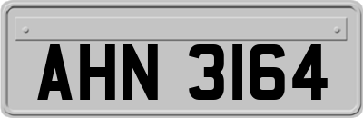 AHN3164