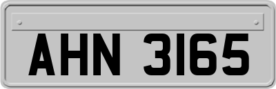 AHN3165
