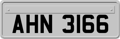 AHN3166