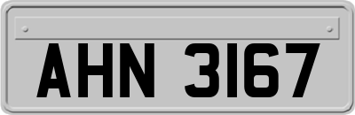 AHN3167