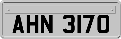 AHN3170