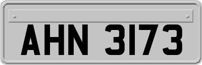 AHN3173