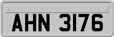 AHN3176
