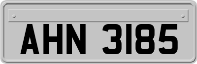 AHN3185