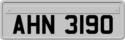 AHN3190