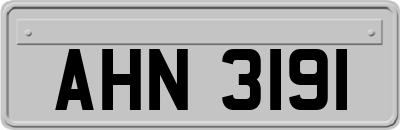 AHN3191