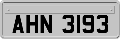 AHN3193