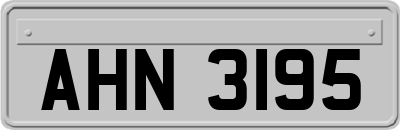 AHN3195