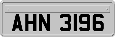AHN3196