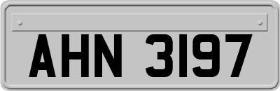 AHN3197
