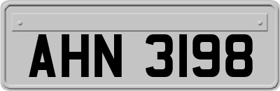 AHN3198