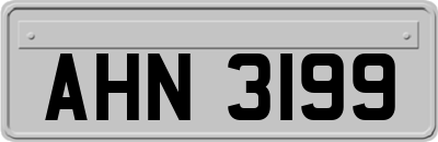 AHN3199
