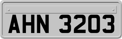 AHN3203