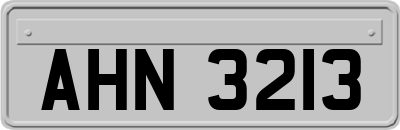 AHN3213