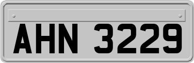 AHN3229