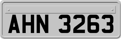 AHN3263