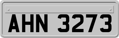 AHN3273