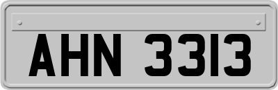 AHN3313