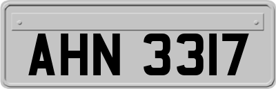 AHN3317