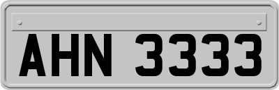 AHN3333