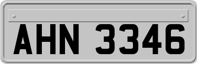 AHN3346