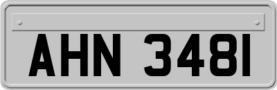 AHN3481