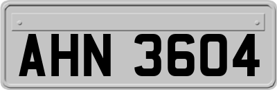 AHN3604