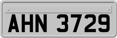 AHN3729