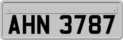 AHN3787