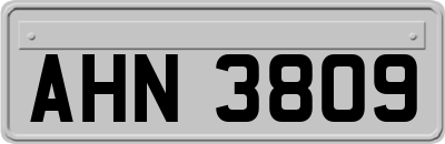 AHN3809